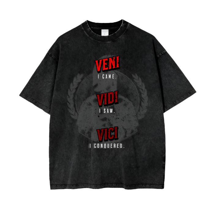 VENI VIDI VICI Acid Wash Pump Cover