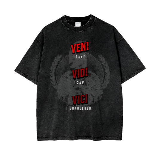 VENI VIDI VICI Acid Wash Pump Cover